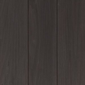Modified Hardwood Siding Morchella