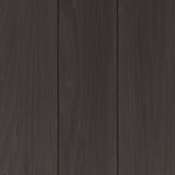 Modified Hardwood Siding Morchella
